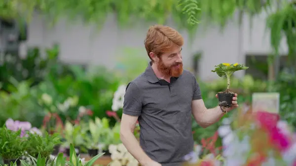Redheaded Man Horticulture Retail Store Selecionando Flores Prateleira Feliz Caucasiano — Fotografia de Stock