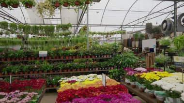 Yerel Bahçe İşleri Çeşitli Bahçecilik ve Çiçek Seçimleriyle Gelişiyor