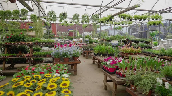 stock image Interior of horticulture store supply flower shop local business