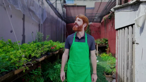 Fröhlicher Mann Gartenbau Unternehmer Mit Grüner Schürze Spaziert Mit Pflanzen — Stockfoto
