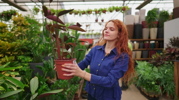 Mujer Alegre Recogiendo Planta Estante Paseando Través Horticultura Jardinería Suministro — Foto de Stock