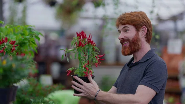 Joyful Customer Picking Plants Horticulture Retail Store Inglês Candid Redheaded — Fotografia de Stock