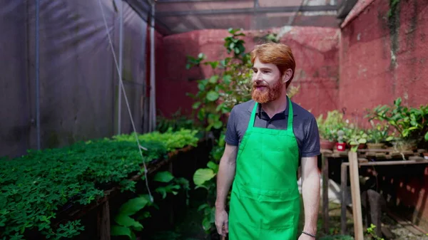 Empreendedor Horticultura Homem Alegre Vestindo Avental Verde Andando Pelo Jardim — Fotografia de Stock