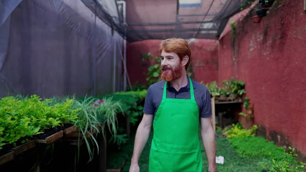 緑のエプロンを身に着けている喜びの男園芸起業家棚の上の植物と庭を歩く — ストック写真