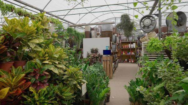 stock image Interior of plant store. Local retail business of Flower Shop