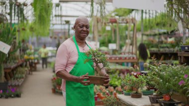 Siyahi yaşlı bir kadın, bahçecilikte küçük bir fabrikayı işletiyor. Brezilyalı cesur yaşlı bayan yerel küçük işletme dükkanında çalışıyor.