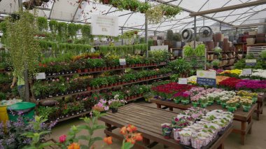 Çiçekçi Dükkanı 'nın canlı iç mekanı, Yerel Bahçecilik Perakende Dükkanı