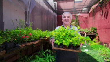 Mutlu yaşlı çiçekçi saksısı, Renkli Bahçe Bahçesinde Gülümseyerek Poz veriyor