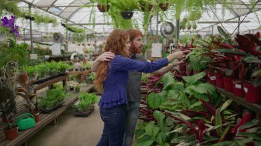 Genç Çift 'in Çiçekçide Ev Dekorasyonu için Hafta sonu alışverişi. Yeni Konut için İki Bireysel Tesis Seçme