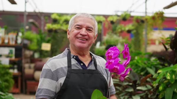 Retrato Homem Mais Velho Florista Empregado Segurando Flor Dentro Horticultura — Fotografia de Stock