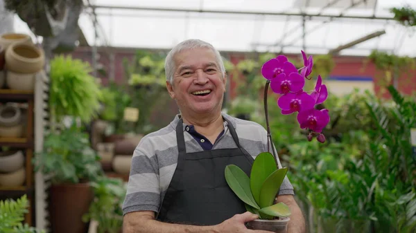 Florista Sênior Feliz Segurando Flor Dentro Loja Horticultura Pessoa Mais — Fotografia de Stock