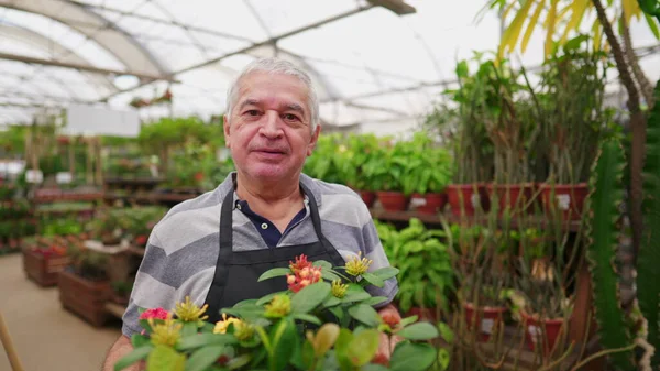 Homem Maduro Segurando Cesta Plantas Dentro Loja Flores Greenhouse — Fotografia de Stock