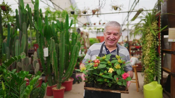 Joyful Friendly Older Masculino Empresário Proprietário Loja Plantas Transportando Flores — Fotografia de Stock