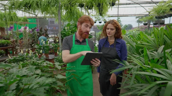 Two entrepreneurs talking about plant business while walking through isles wearing aprons. A male employee explaining Flower Shop procedure to female colleague while holding tablet