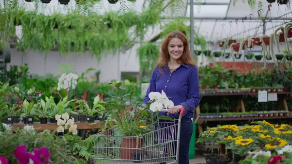 Feliz Cliente Feminino Compras Flower Shop Empurrando Carrinho Selecionando Plantas — Fotografia de Stock