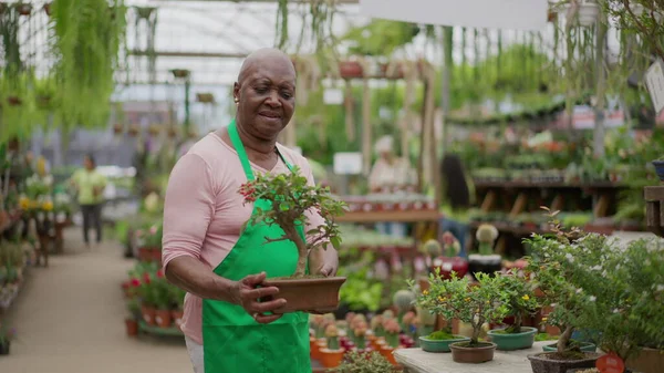 Uma Mulher Negra Mais Velha Segurando Pequena Planta Dentro Loja — Fotografia de Stock