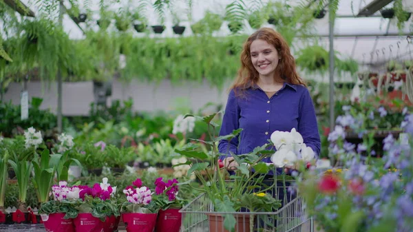 Compras Clientes Femeninos Felices Flower Shop Empujando Carrito Seleccionando Plantas — Foto de Stock