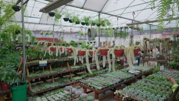 Tracking shot of a Horticulture Store in motion. Flower Shop gardening isles interior