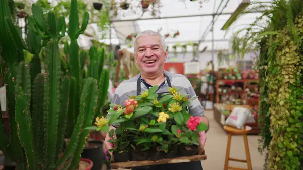 Joyful Friendly Older Masculino Empresário Proprietário Loja Plantas Transportando Flores — Fotografia de Stock