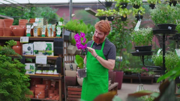 園芸店で花と笑顔の若い男 ローカルストアのGreen AprionのRedhead従業員 — ストック写真