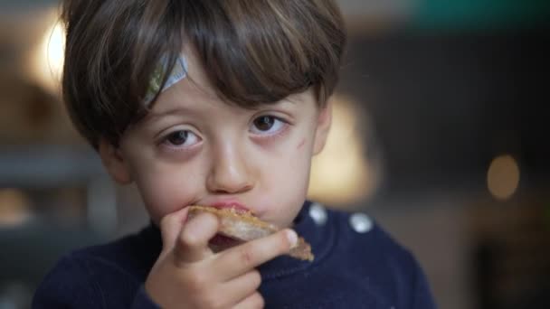 Fıstık Ezmeli Çocuk Molası Sabah Kahvaltısında Tost Yiyen Küçük Bir — Stok video