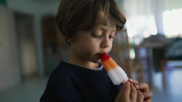 Dondurma Yiyen Küçük Bir Çocuk Çocuk Renkli Tatlı Atıştırmalıkları Tutuyor — Stok video