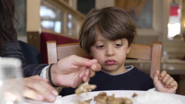 ある動揺した少年は 昼食のテーブルに座って食べることを望んでいない食べ物を食いしばっている ライフスタイル本物の子供の否定的な反応眉をひそめる — ストック動画