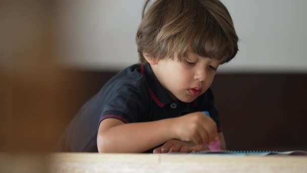 Ein Kleiner Junge Bei Der Schularbeit Hause Kindheitsentwicklungskonzept Ehrliche Kinderzeichnung — Stockvideo