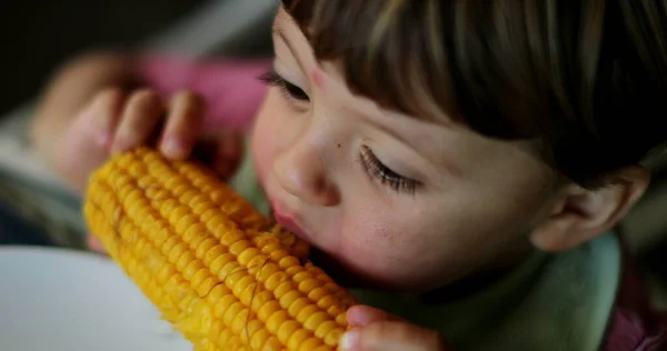 Kid Eats Corn One Little Boy Eating Food — Stock Photo, Image