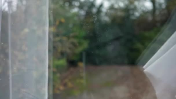 Ruka Odhaluje Venkovní Zahradu Oponou Podzimní Sezóna Dvoře Osoba Pov — Stock video