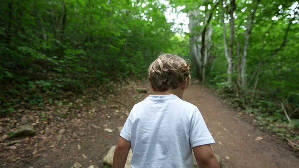 Costas Criança Caminhando Floresta Caminhando Caminho Verde Caminhante Menino Errante — Fotografia de Stock