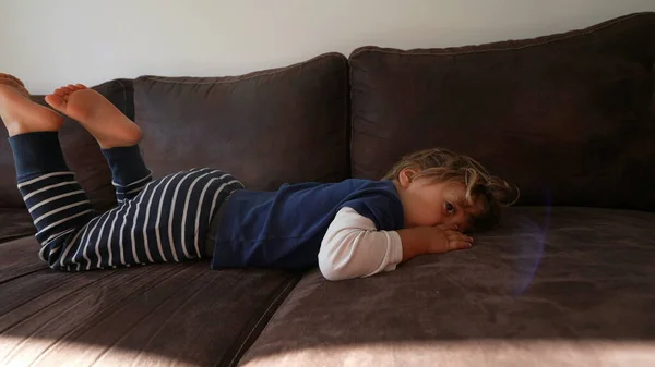 One Little Boy Lying Sofa Resting Pensive Child Lies Couch — Stock Photo, Image