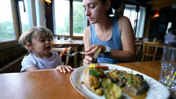 Μητέρα Σίτιση Παιδί Υγιεινή Διατροφή Μαμά Ζωοτροφών Μικρό Αγόρι Υγιεινό — Φωτογραφία Αρχείου