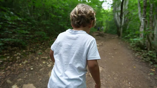 Kind Wandert Wald Auf Grünem Pfad Wandernder Kleiner Junge Wandert — Stockfoto