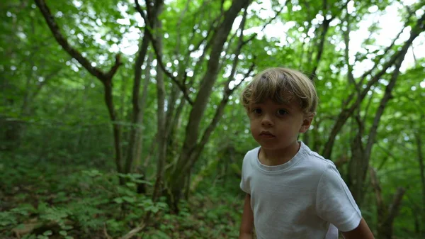 Kind Wandert Draußen Auf Grünem Pfad Kind Wandert Draußen Wald — Stockfoto