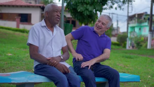 Zwei Ältere Freunde Umarmen Sich Urbaner Umgebung Afroamerikaner Umarmt Seinen — Stockvideo