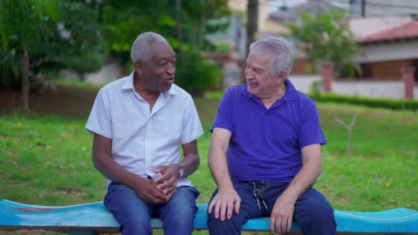 Två Äldre Olika Vänner Utbyter Kram Stadsmiljö Afrikansk Amerikansk Man — Stockvideo
