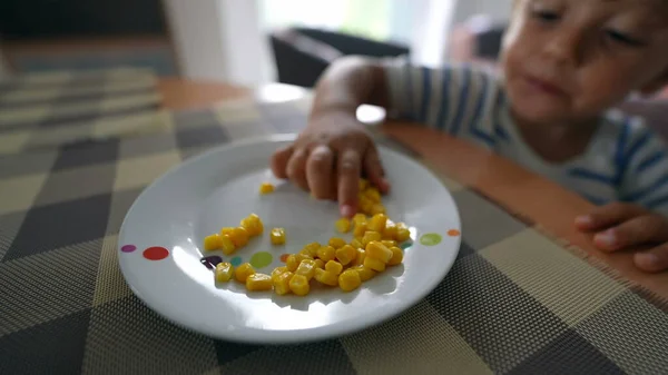 小孩从盘子里抢玉米 小男孩抢食物 — 图库照片