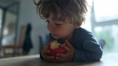 Elma meyvesinden bir ısırık alan çocuk sağlıklı şeyler yer.