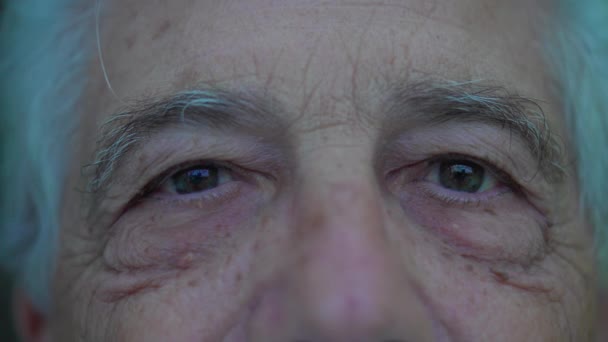 Makro Çekimde Olgun Yaşlı Erkek Gözleri Yaşlılık Bilgelik Gösteren Kameralara — Stok video