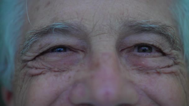 Крупный План Глаз Счастливого Пожилого Человека Отражающий Мудрость Многолетний Опыт — стоковое видео