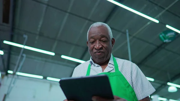 One frustrated black senior staff using tablet device scratching forehead in confusion. Elderly African American person struggling with modern technology inside industrial shed wearing apron