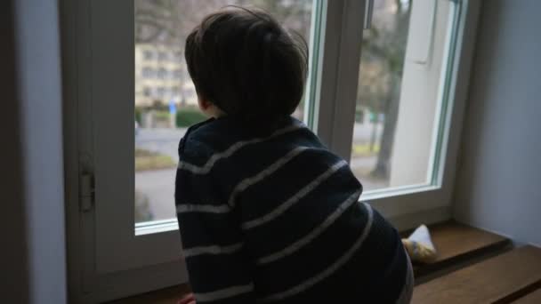 Düşünceli Çocuk Pencereden Bakıyor Düşünceli Duygusallık Apartmandan Görünür — Stok video