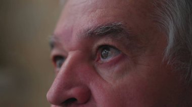 Düşünceli, kıdemli bir adamın, pencereden dışarı bakan, yaşlı bir adamın gözleri, gözleri tamamen açık ve gözlemci.