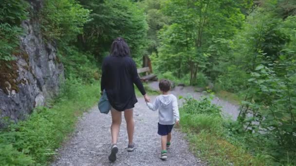 Back Mother Child Holding Hands Walking Nature Trail Weekend Activity — Stock video