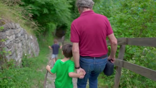孫と祖父は手と木の棒を持って 自然のトレイルを歩いて一緒にハイキングアドベンチャー — ストック動画