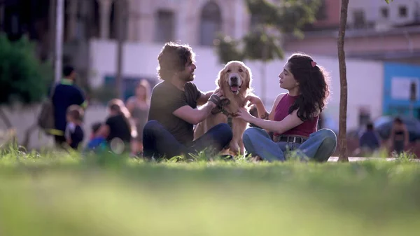 Candid joyful couple petting their Dog at park