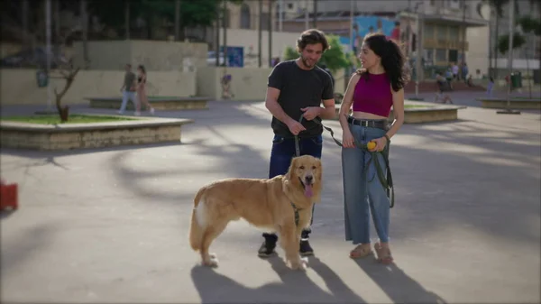Happy couple standing in city park with their Golden Retriever Dog. Man and woman conversing during weekend activity with their canine companion