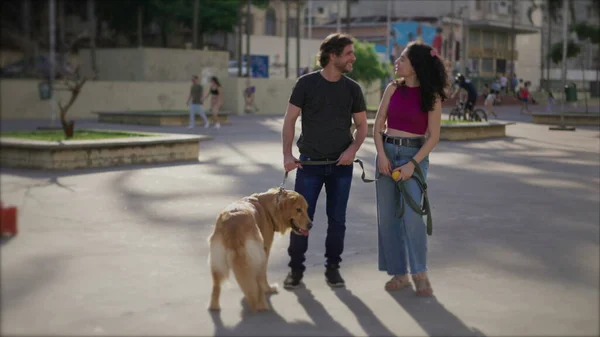 Happy couple standing in city park with their Golden Retriever Dog. Man and woman conversing during weekend activity with their canine companion
