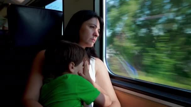 速いヨーロッパの鉄道で思慮深い母親 彼女の子供を受け入れて 艦隊の田舎を眺めました — ストック動画